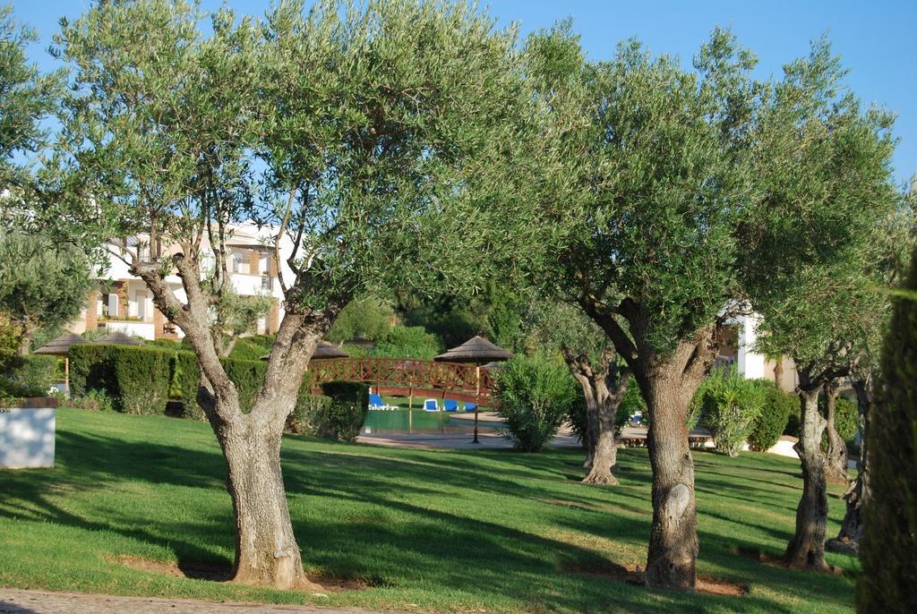 Holiday home Casa Campo & Mar *